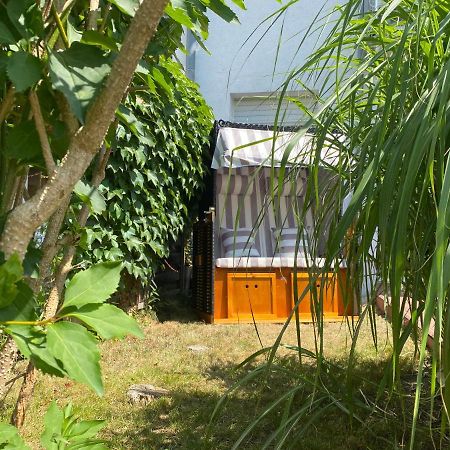 Ferienapartment Casa Heideblick Mit Sonnenterrasse & Garten ラーデベルク エクステリア 写真