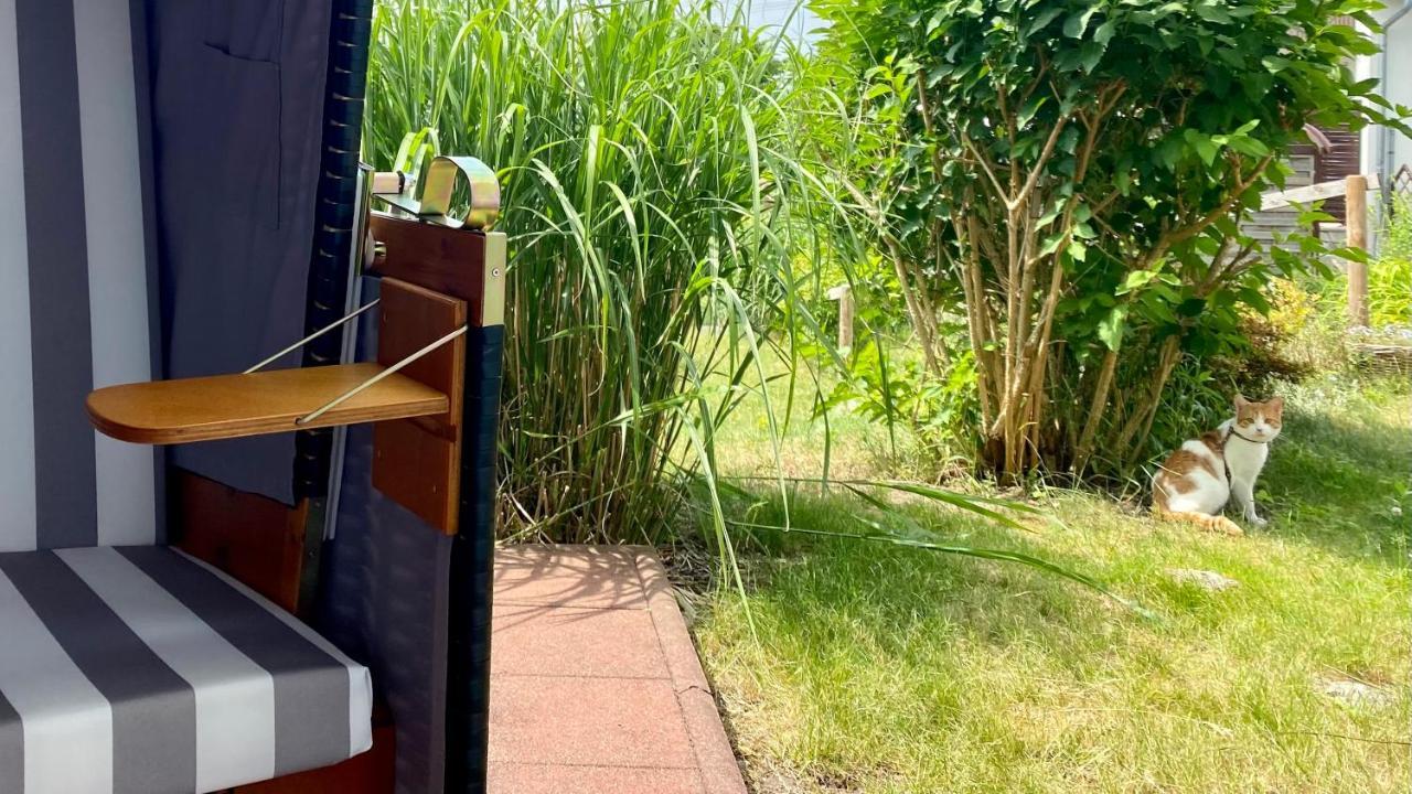 Ferienapartment Casa Heideblick Mit Sonnenterrasse & Garten ラーデベルク エクステリア 写真