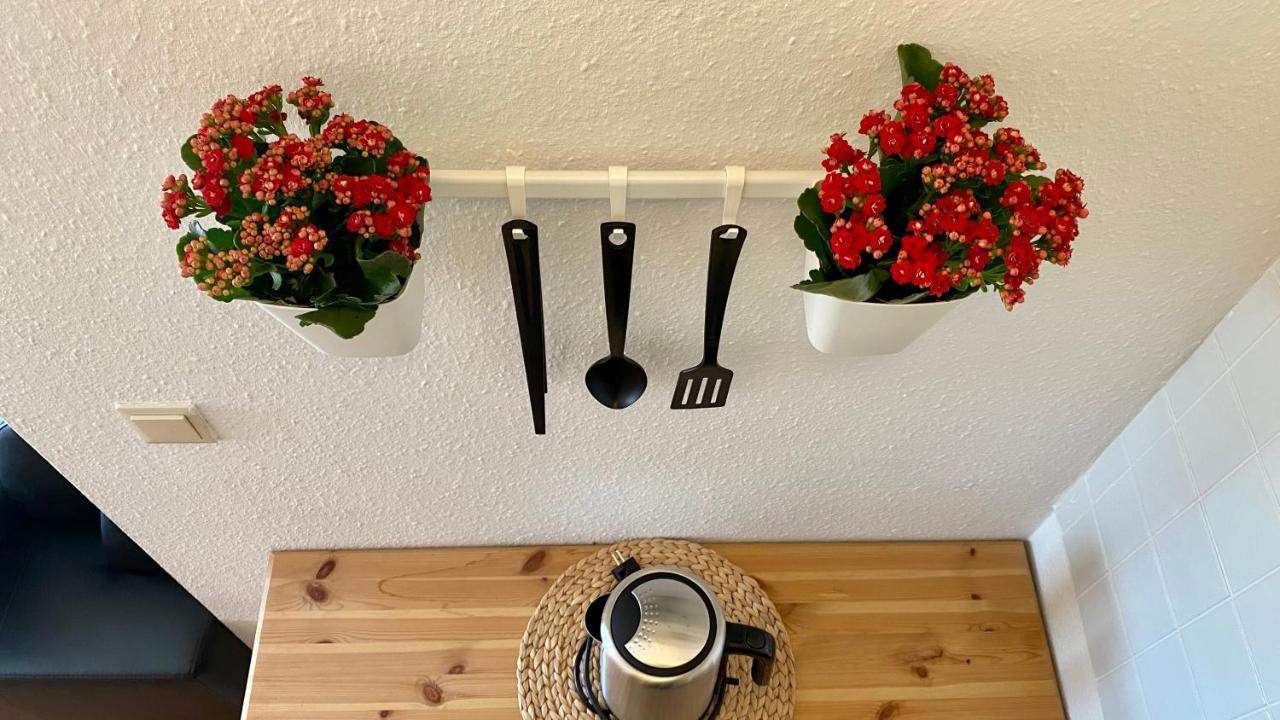 Ferienapartment Casa Heideblick Mit Sonnenterrasse & Garten ラーデベルク エクステリア 写真